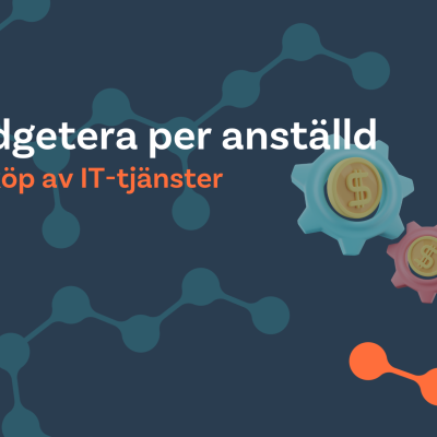 Budgetera per anställd