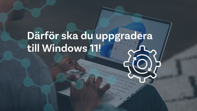 Dator med Windows 11